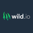 Wild Casino logo